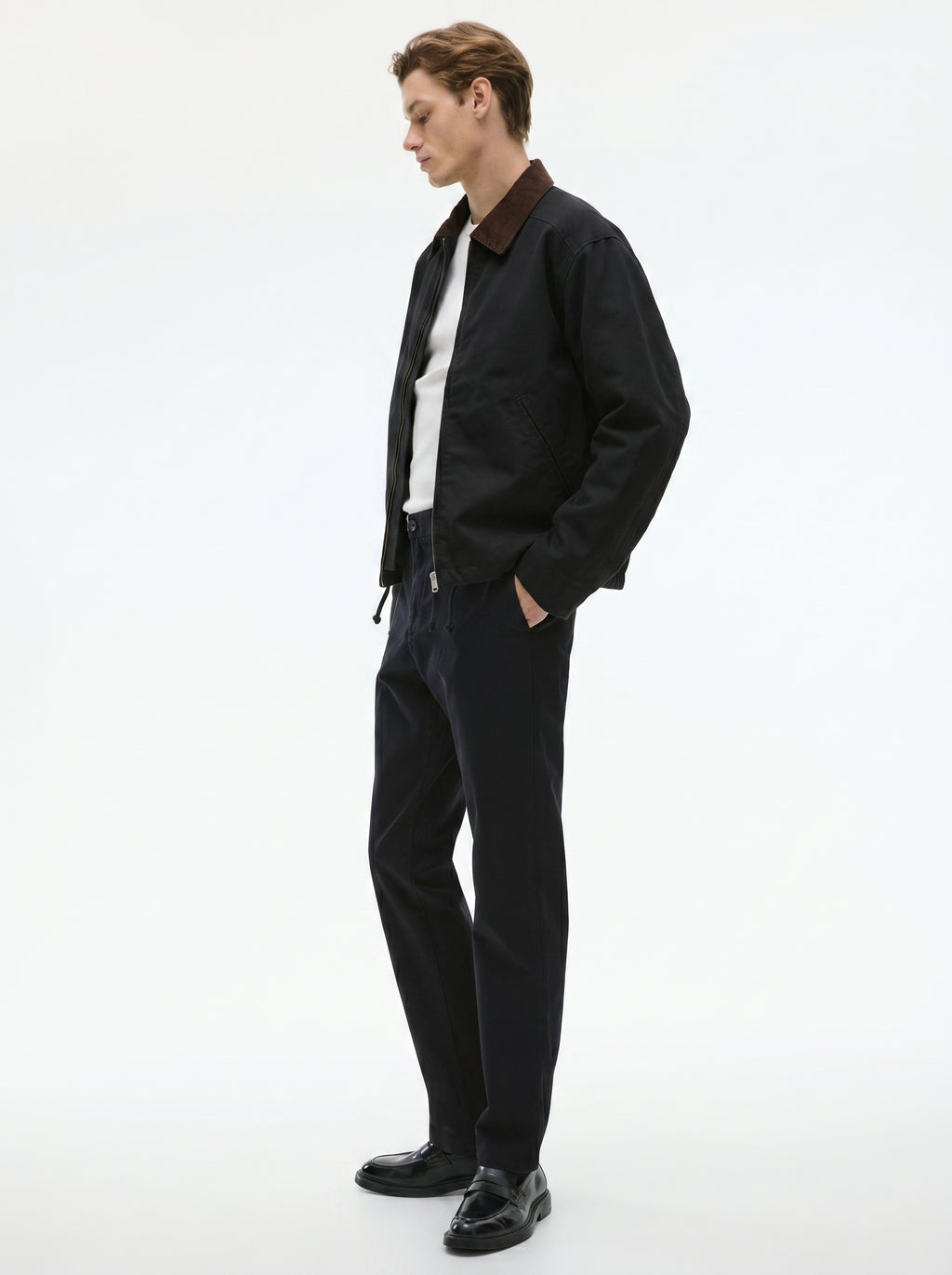 Black Regular Fit Mid Rise Cotton Chinos Pant