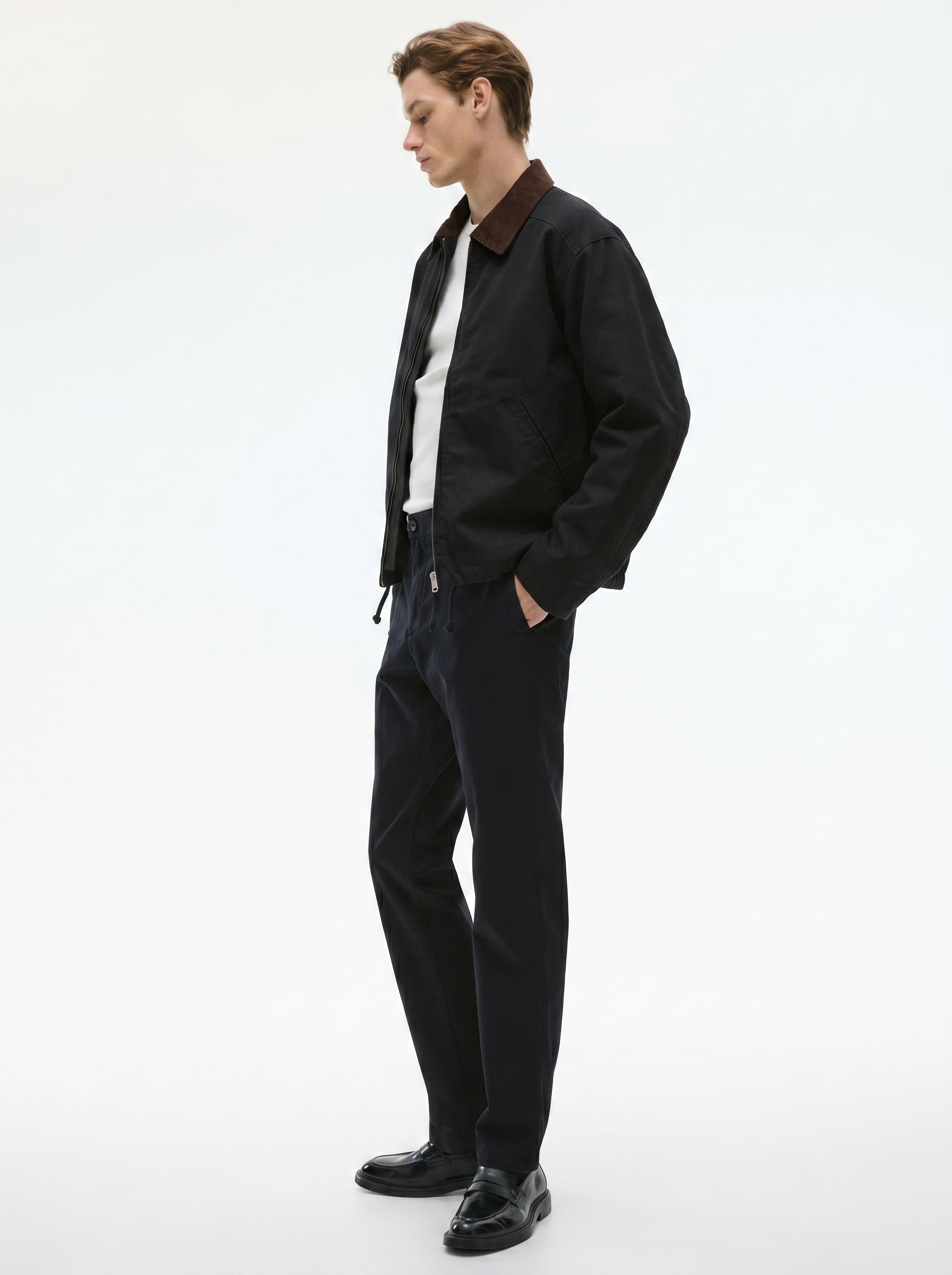 Black Regular Fit Mid Rise Cotton Chinos Pant
