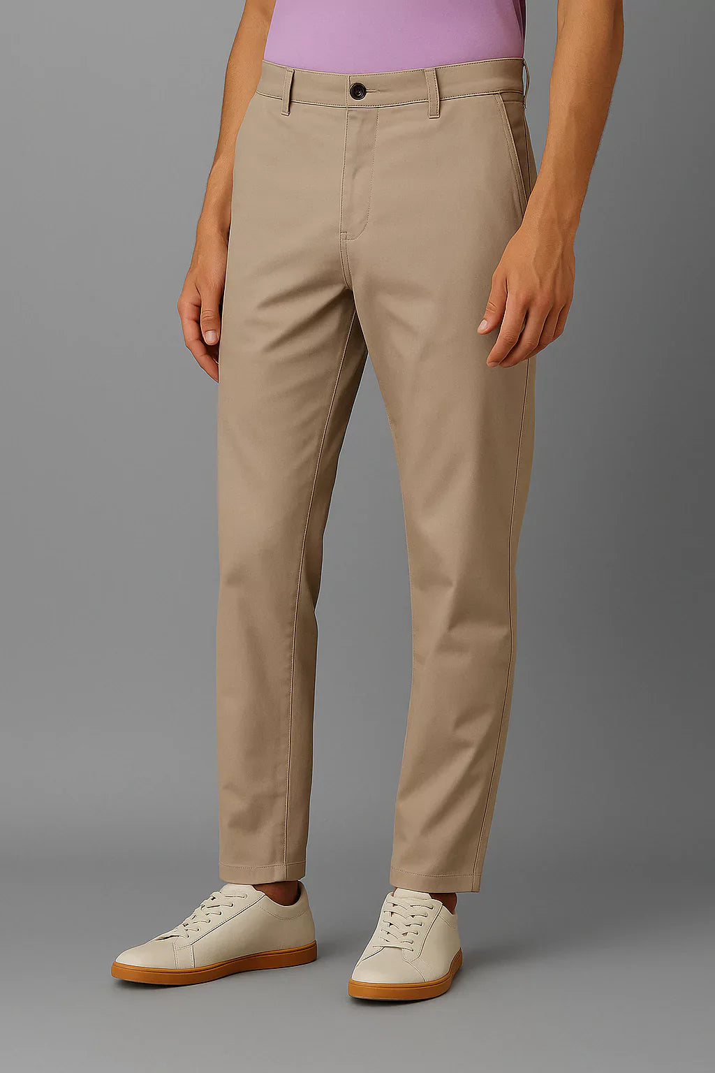 Stone Regular Fit Mid Rise Cotton Chinos Pant